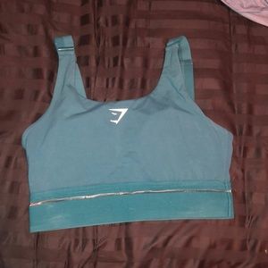 Gym shark Sports Bra— Never worn!